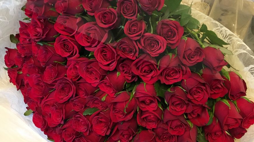 プロポーズの100本薔薇の花束